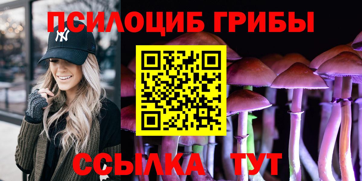 Галлюциногенные грибы Psilocybe  Вход с VPN  Псилоцибиновые грибы Psilocybe  продажа наркотиков  Снежинск 
