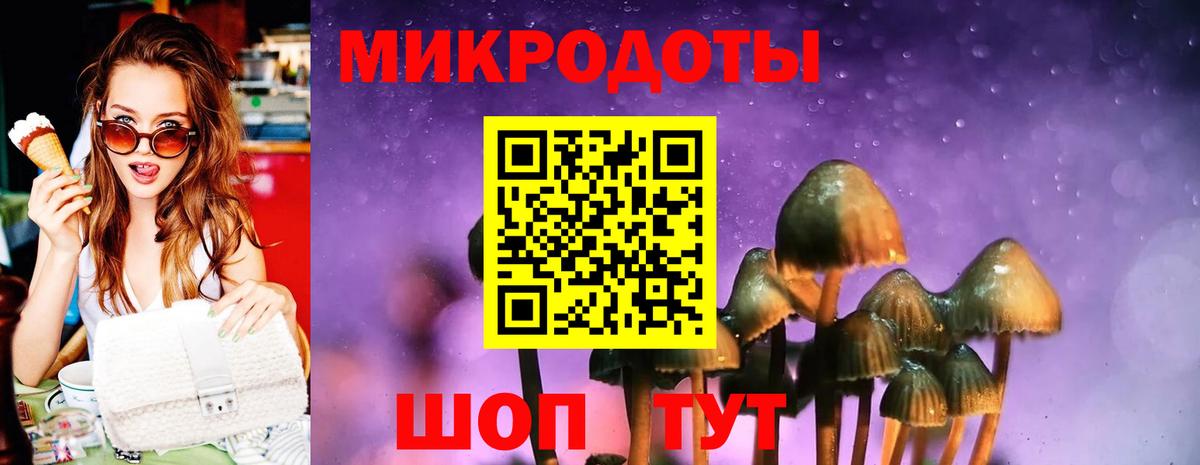 Галлюциногенные грибы Psilocybe Снежинск